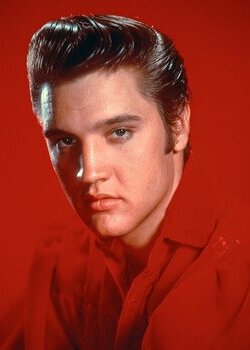Home 101ru-elvispresley
