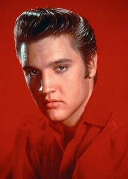 Home 101ru-elvispresley