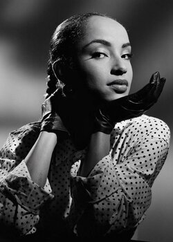 Home exclusivelysade