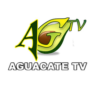 Aguacate TV » Live TELEVISION now!