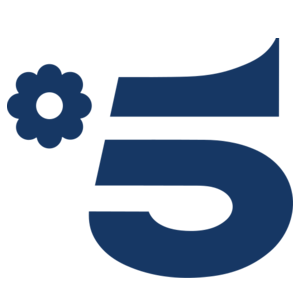 Canale 5 » Live TELEVISION now!