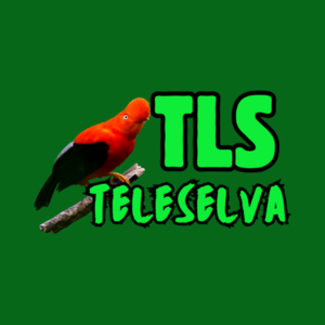 Teleselva » Live TELEVISION now!