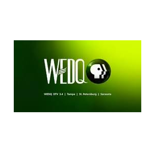 Logo of WEDQ-DT4 - TELEVISION