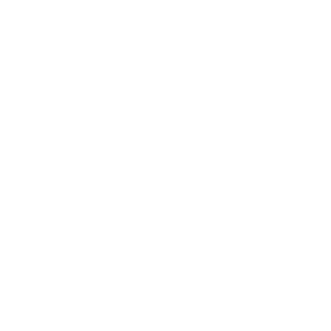 Logo of TV Syri