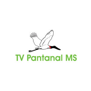 TV Pantanal MS » Live TELEVISION now!