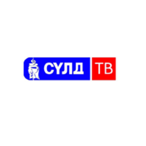 Logo of Suld TV